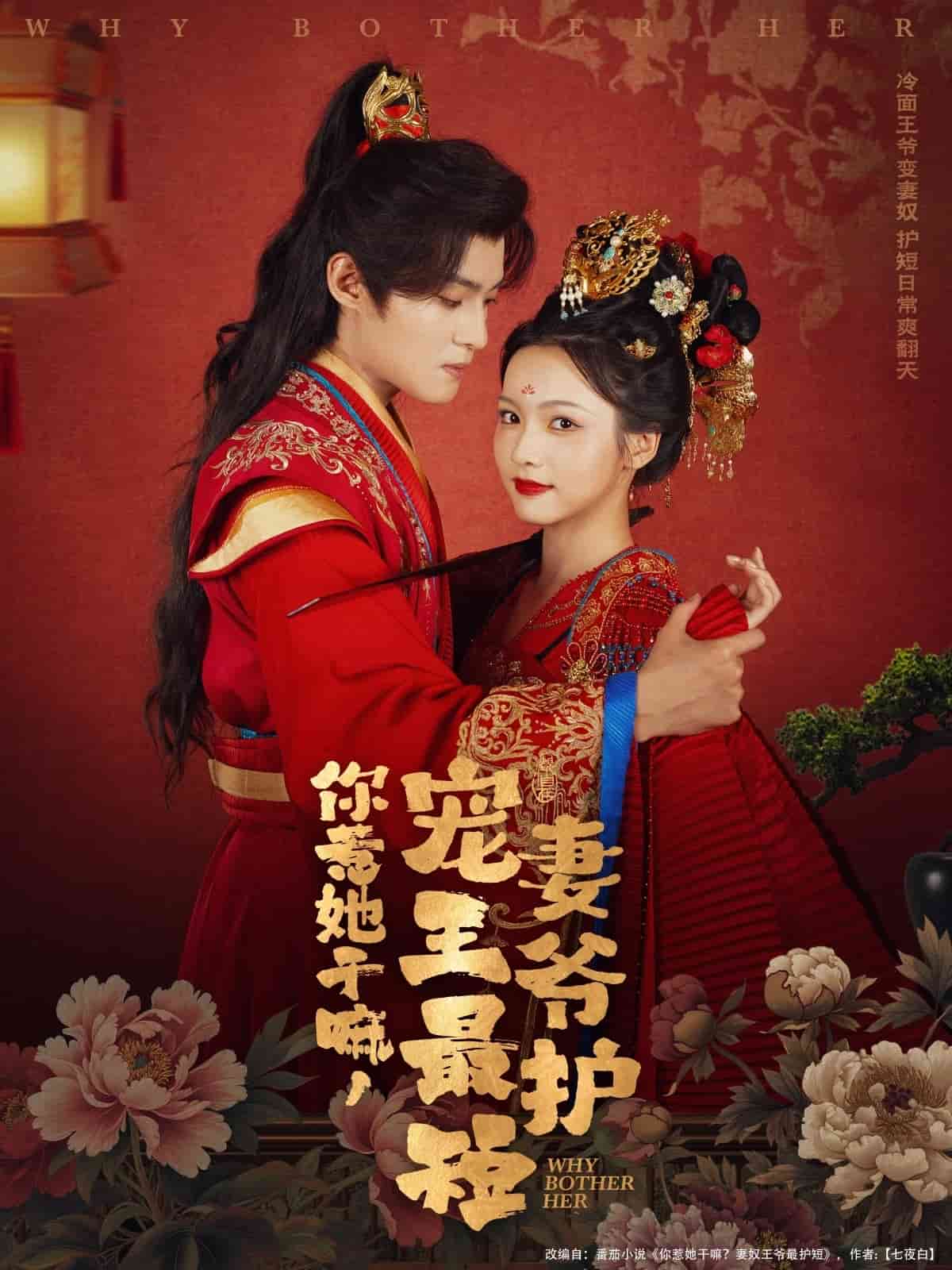 你惹她干嘛，宠妻王爷最护短