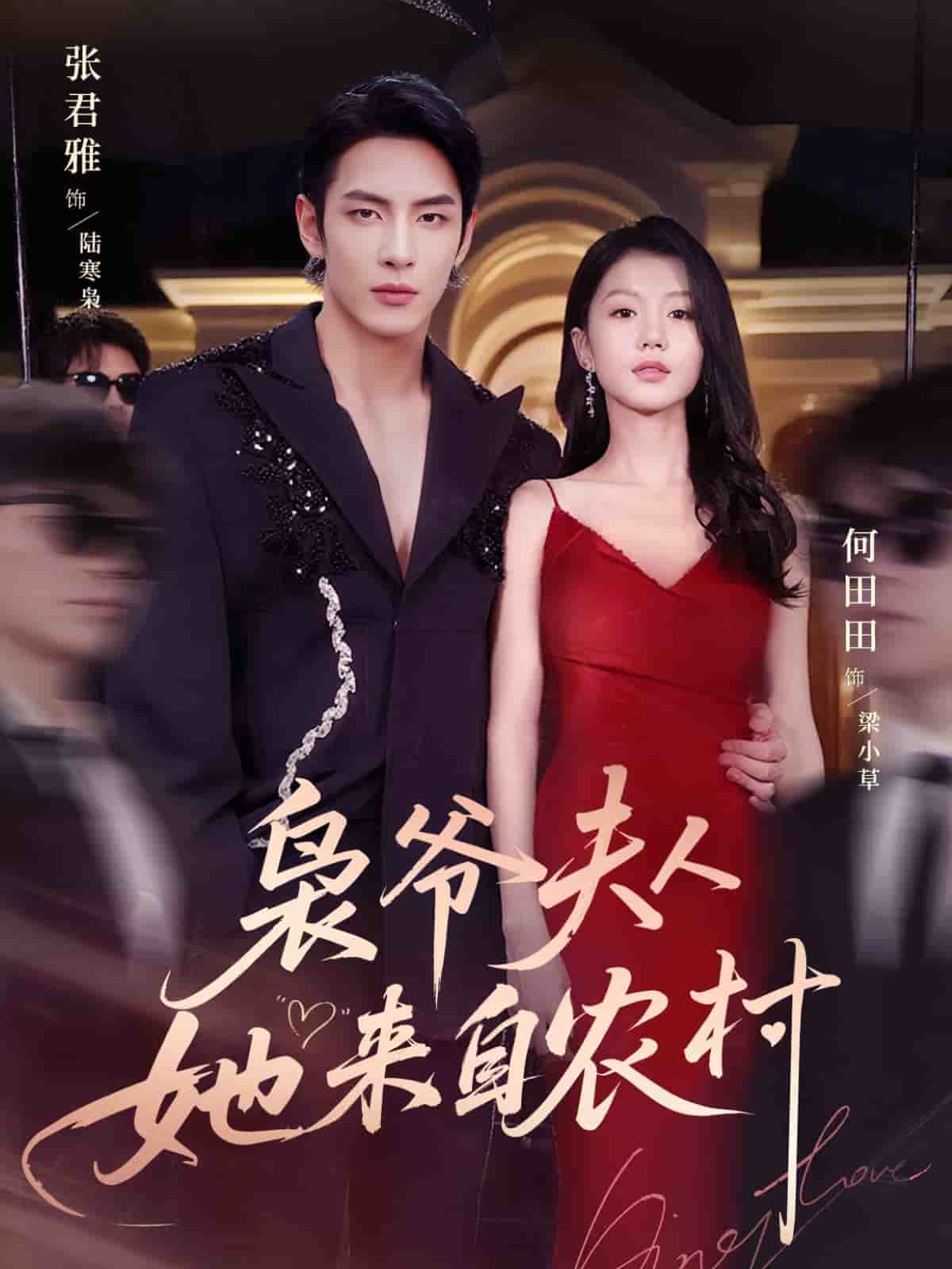 枭爷夫人她来自农村