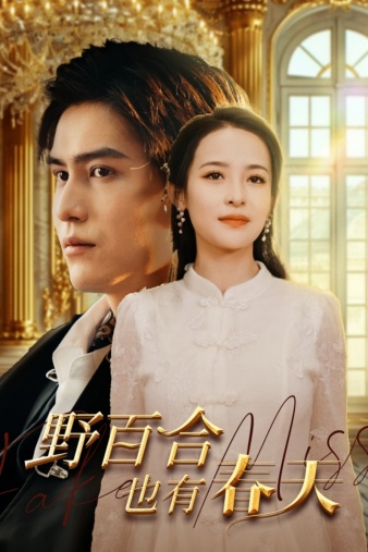 野百合也有春天 短剧版