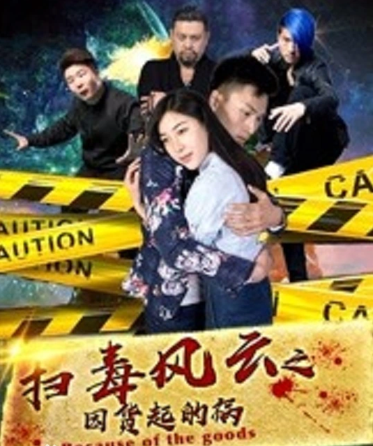 扫毒风云之因货起的祸