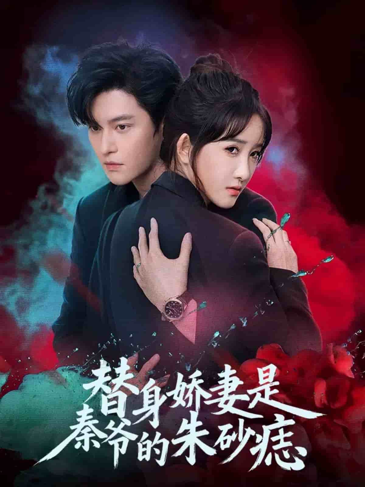 替身娇妻是秦爷的朱砂痣